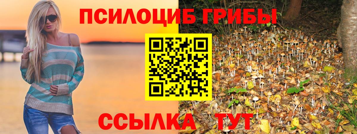 Камень-на-Оби  Псилоцибиновые грибы мицелий  Псилоцибиновые грибы Psilocybe  Вход с VPN 